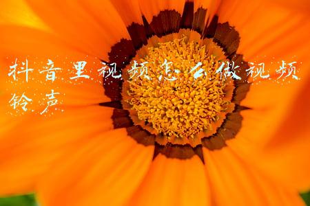 抖音的视频怎么做铃声(如何把抖音任意音频设为手机铃声)