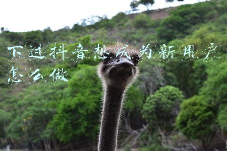 微信怎么成为商家用户(个人收款码禁止商用，小微商户如何办理商家收款码？)