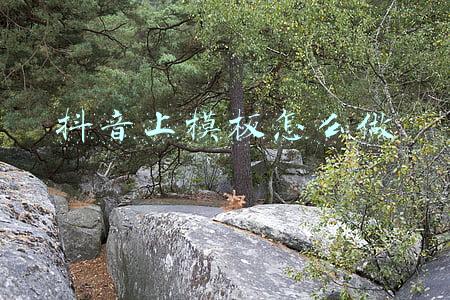 抖音上模板怎么做