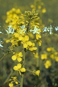 抖音里面男女对唱视频怎么做