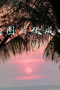 抖音的图片做成四瓶怎么做