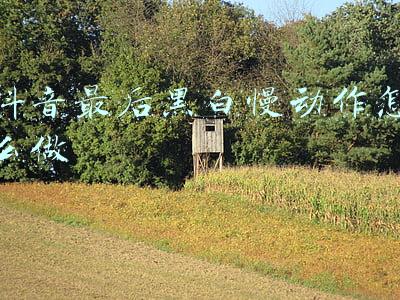 抖音最后黑白慢动作怎么做