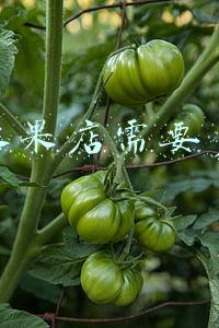 开水果店要多少钱《开水果店要多少钱成本》