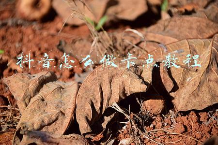 抖音怎么做卡点教程 抖音怎么做卡点教程