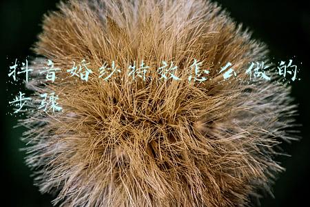 婚纱照修图步骤(影楼韩式外景人像婚纱照PS修图教程)