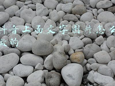 抖音上图片上有文字怎么做的(「抖音星图即合」教你打案例标签、制作服务详情长图)
