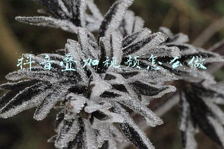 抖音视频素材怎么和自己的视频叠加(第12期 火爆抖音的星空合成特效来了 据说每一帧都可以唯美到做壁纸)