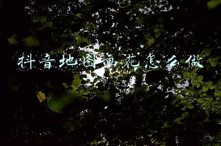 抖音地图画花怎么做