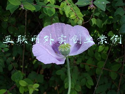 互联网外卖创业案例