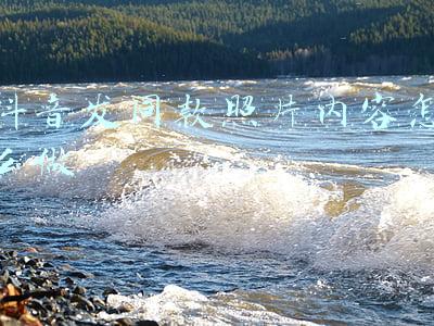 抖音发同款照片内容怎么做