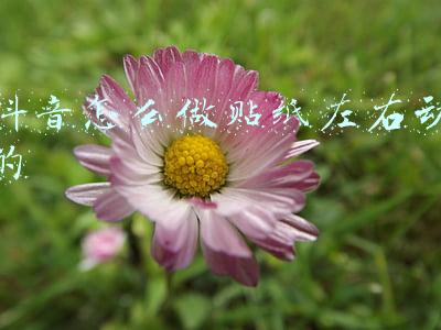 抖音怎么做贴纸左右动的