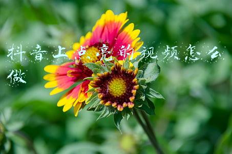 抖音上点亮的视频怎么做