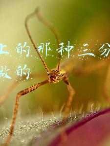 怎么样在抖音里面做三分屏视频(怎么用一个小视频制作成三个分屏同时播放)
