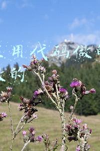 抖音里用代码做的图片怎么做的