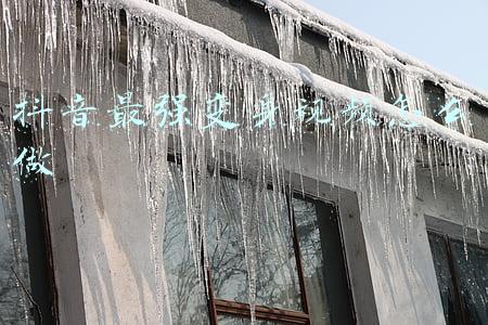 抖音超强变身术怎么使用(江西临川：人社干部的“变身术”)