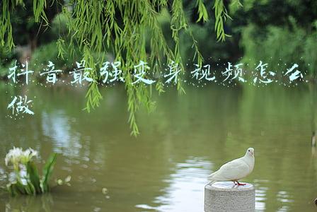 抖音光剑变身视频(这是全网最不油腻的光剑变身)