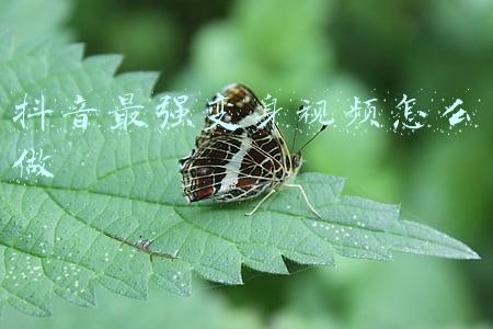 抖音最强变身视频怎么做