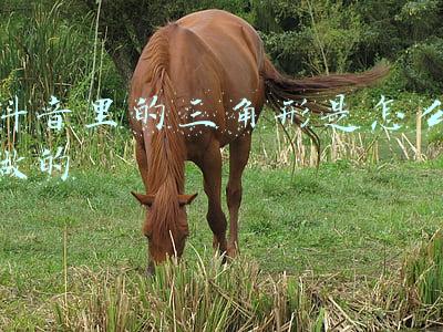 抖音里的三角形是怎么做的