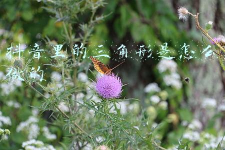 抖音作品里面的三角图标代表什么(抖音推荐好友怎么来的，通讯录导入的玩法怎么做的)