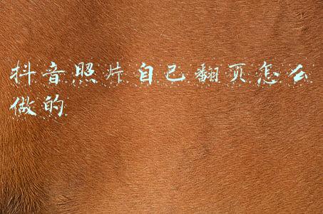 电脑浏览照片不能翻页(老年人学剪映（057）方便精准地旋转动画替换循环翻页相册)