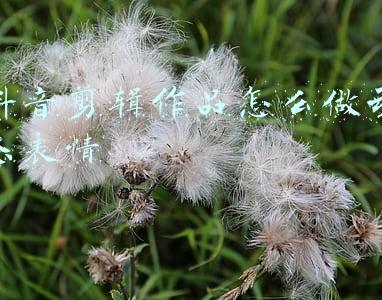动态图形作品(动感十足！85款动态字体设计)
