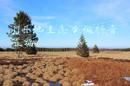 JJ斗地主怎么在电脑上抖音做主播(S3秋季赛落幕，JJ斗地主的全民故事讲到了哪里？| 对话高源)