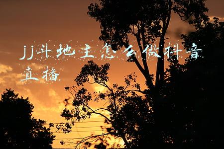如何在抖音直播斗地主(抖音直播主播的几大类型)