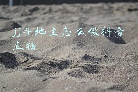 jj斗地主怎么在模拟器运行(一款国产“网店模拟器”，怎么就在Steam上好评如潮了？)