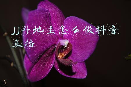 jj斗地主怎么注销账号(企业跨区迁移无需注销！网上即可操作)