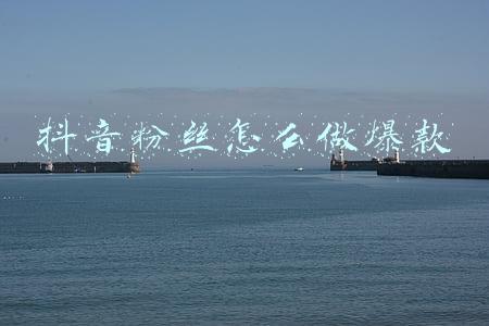 抖音粉丝怎么来的(抖音百万粉丝竟然是这样吸来的)