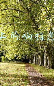 快乐环岛抖音响指卡点(故事：患脑癌后她把5000万遗产给前夫，只因离婚15年她逐渐明白件事)