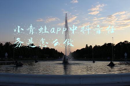 小青蛙app中抖音任务是怎么做