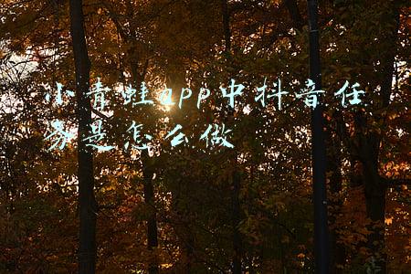 小青蛙app中抖音任务是怎么做