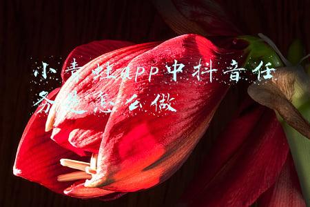 小青蛙app中抖音任务是怎么做