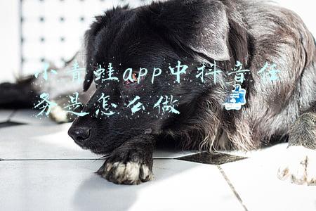 小青蛙app中抖音任务是怎么做