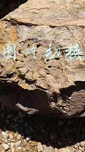 dw怎么做图片切换(用Python开发GUI实战教程：图片转换素描画工具)