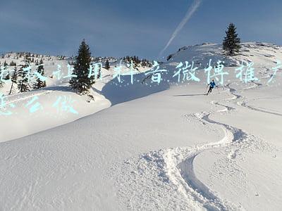 饭桶戴老板微博(冯唐：成功很难，我教你成事)