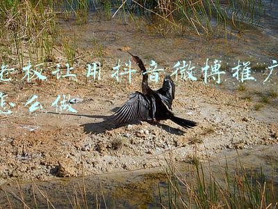 李雪琴老板谢哥微博(与李雪琴分道扬镳后，他要做什么样的东北新喜剧？)