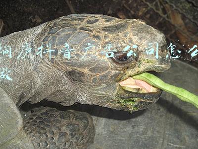 桐庐抖音广告公司怎么做