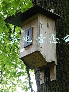 抖音电音(抖音最火的电音bgm有哪些 抖音最火的电音纯音乐排行榜)