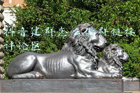 抖音建群怎么做群链接评论区