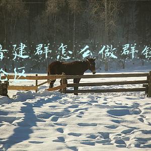 抖音建群怎么做群链接评论区