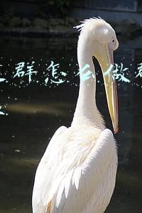 微信群怎么看建群日期(快乐家园的一件小事)