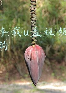 抖音车载视频U盘怎样使用(小白可做的成熟小项目—车载音乐项目，抖音车载U盘mv)