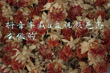 抖音车载u盘视频是怎么做的