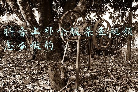 抖音上那个酸菜鱼视频怎么做的