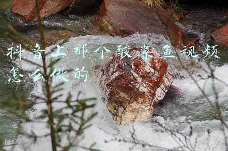 抖音上那个酸菜鱼视频怎么做的