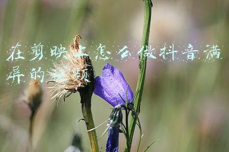 在剪映上怎么做抖音满屏的视频