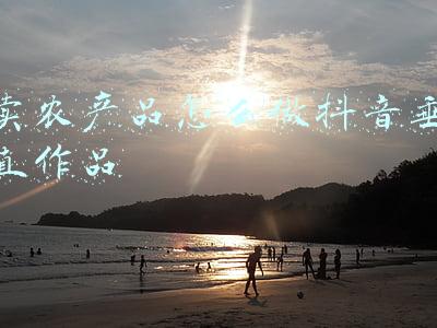 卖农产品的网站(富农商网——农产品采购批发网)
