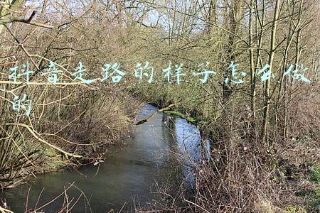 最近抖音很火的走路姿势(边捡破烂边抽中华，抖音爆火的东北街溜子到底有多爱装逼？)